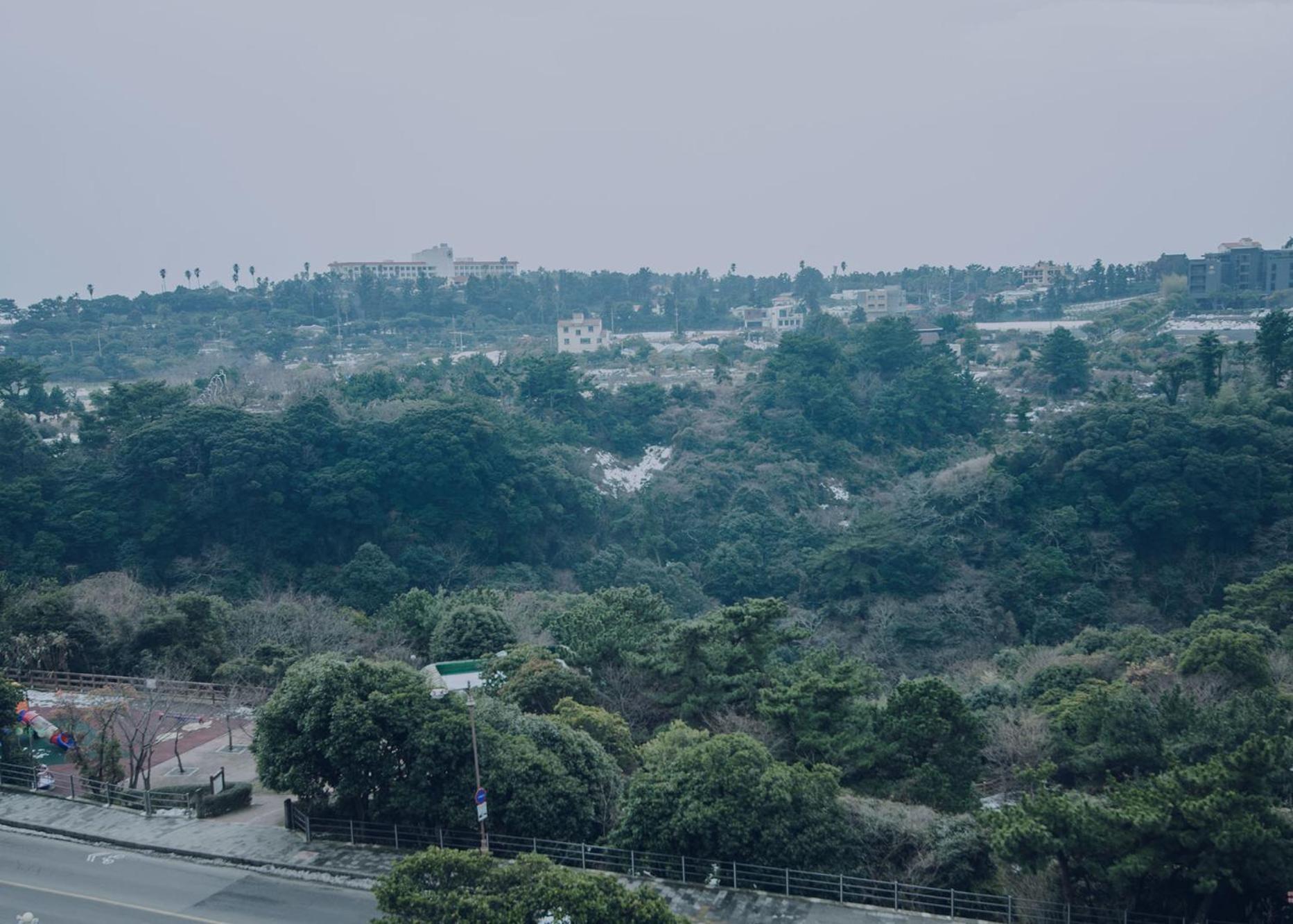Jeju Lavender Hotel Szogüpho Kültér fotó